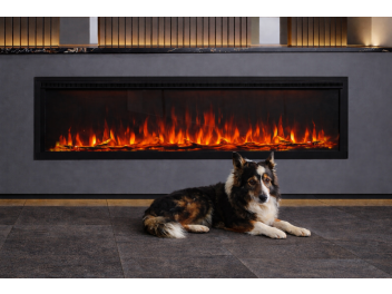 Hond voor een sfeerhaard