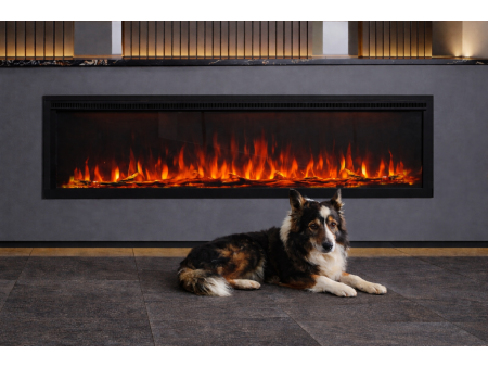 Hond voor een sfeerhaard